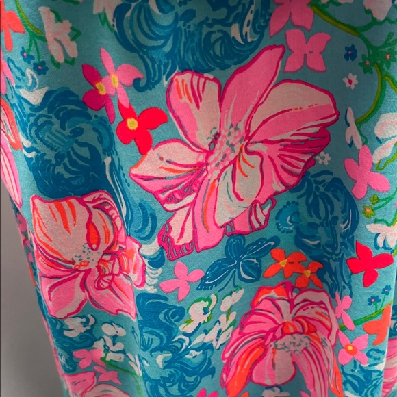 NWT Lilly Pulitzer Alessa Dress-Surf Blue Luscious Lions - Picture 3 of 13